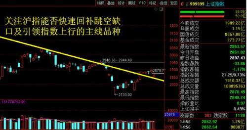 PX利多加码，强势领涨大宗商品市场风云