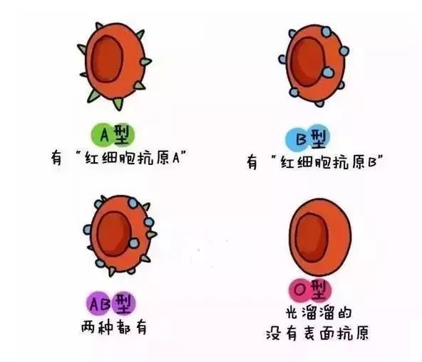 文化 第7页