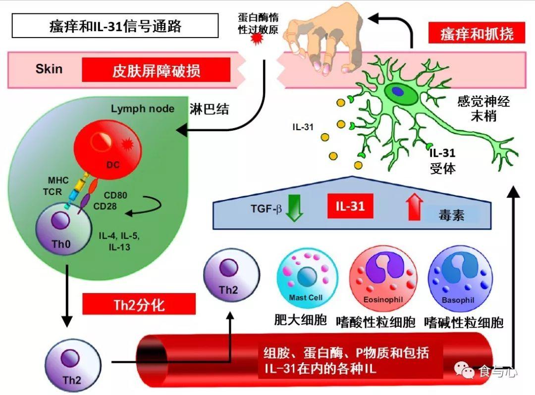 宝宝11个月湿疹怎么办，全方位应对策略与关爱