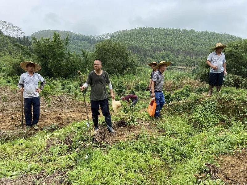 郁南广东温氏有限公司，企业之光，引领未来