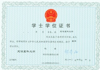 广东省学士学位英语网，探索与启示