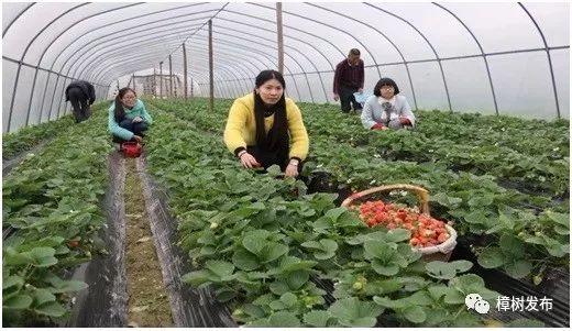 寿光稻田房产，繁荣与发展中的居住新篇章