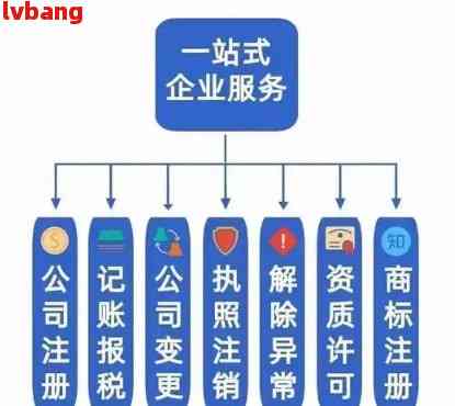 注册广东省的公司，全面指南与关键要素解析