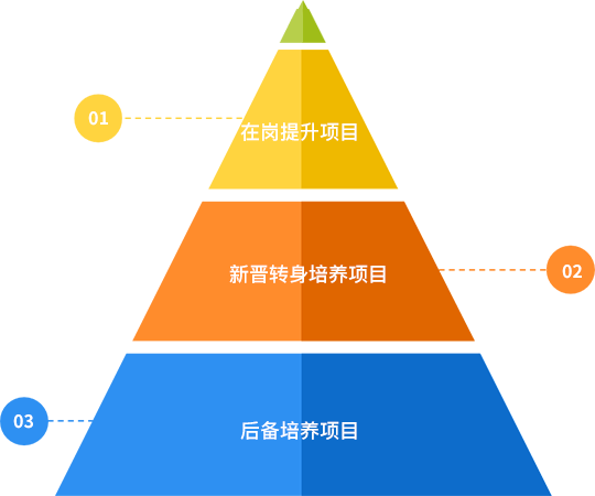 广东省技能晋升补贴，推动人才培养与技能提升的重要举措