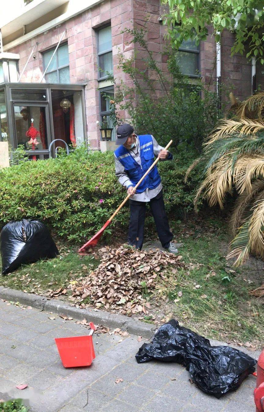 广东奥园物业有限公司，卓越服务的典范