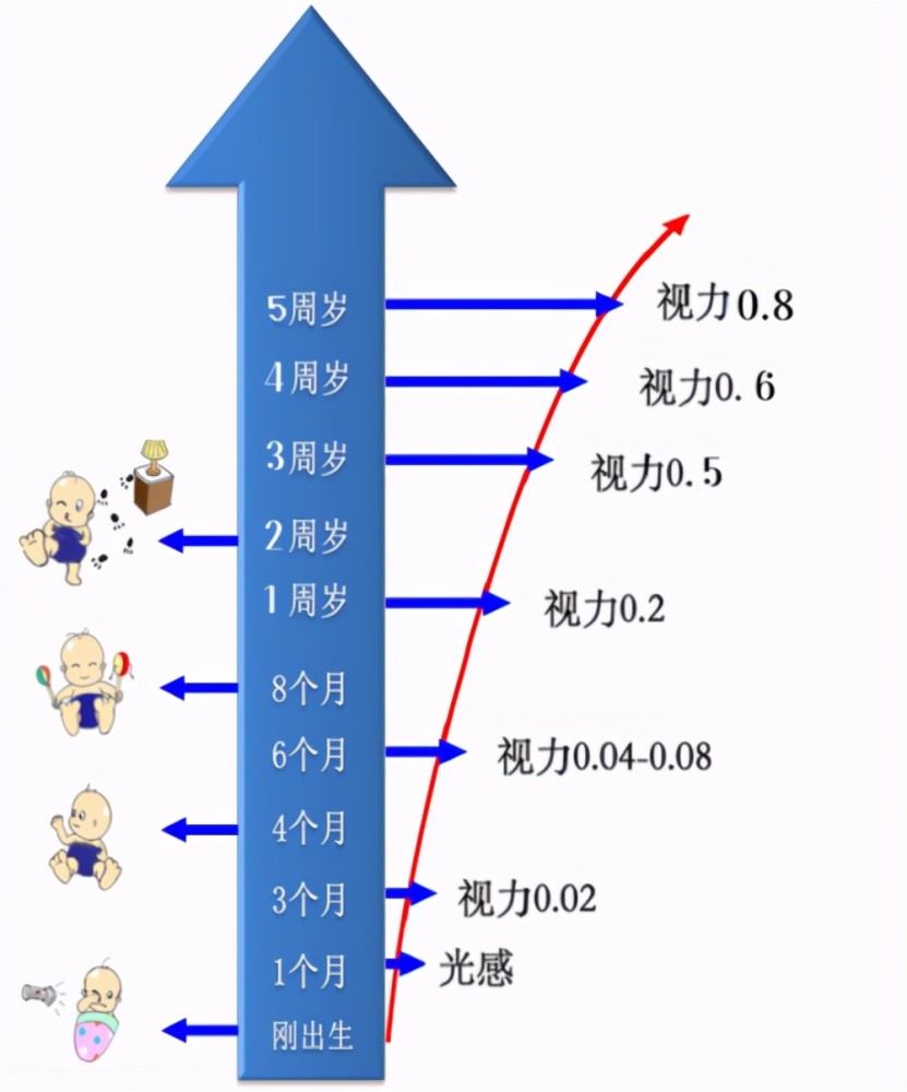 宝宝眼睛发育与见光时间解析