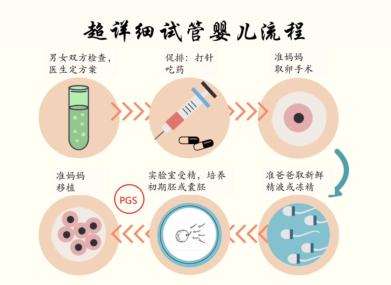 试管婴儿的孕育周期，深入了解试管技术的全过程