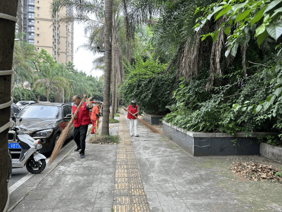 广东省社区环境卫生，打造宜居环境的典范