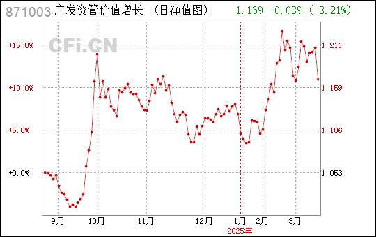 广东国安有限公司，探索、发展与未来展望